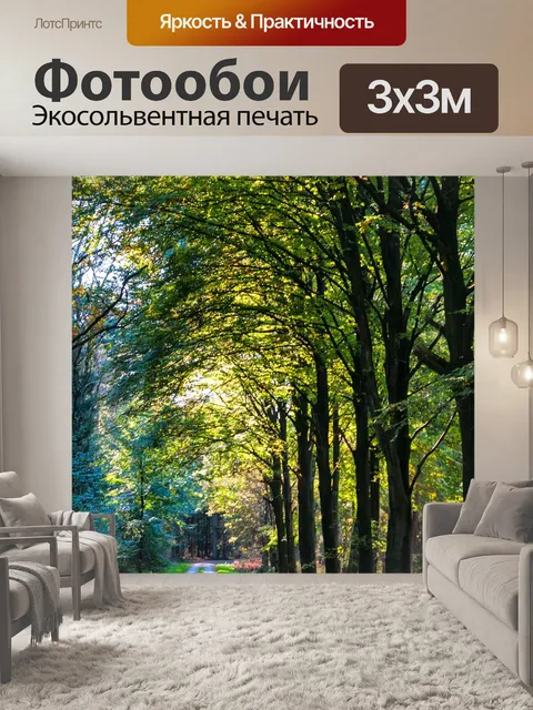 Фотообои Лес