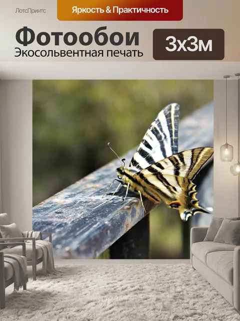 Фотообои Бабочка