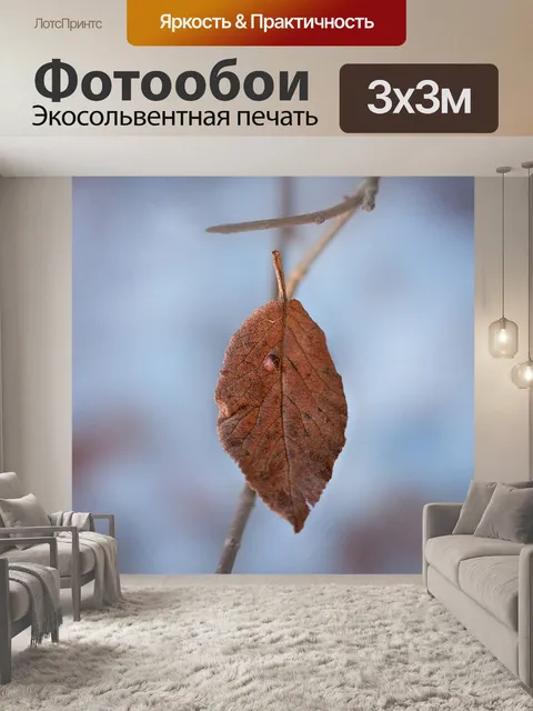 Фотообои Лист