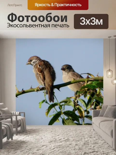 Фотообои Птицы