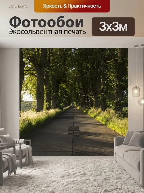 Фотообои Улица аллея