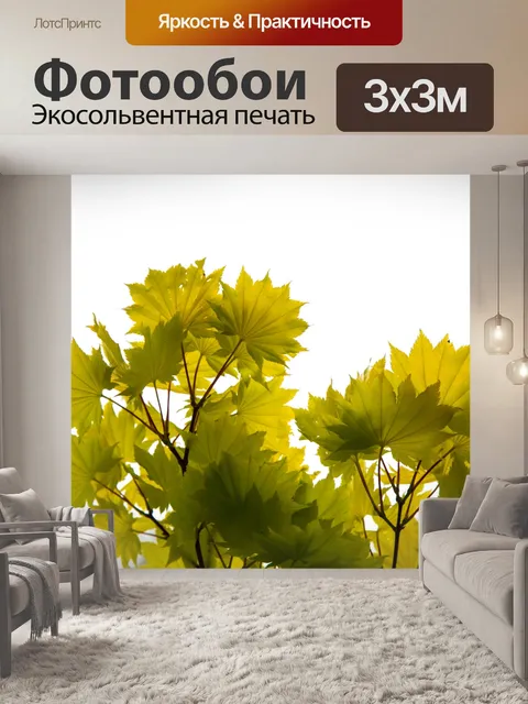 Фотообои Зеленые листья