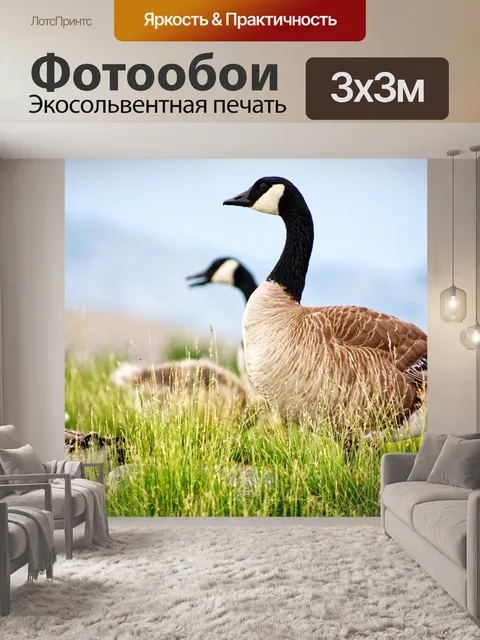 Фотообои Птица