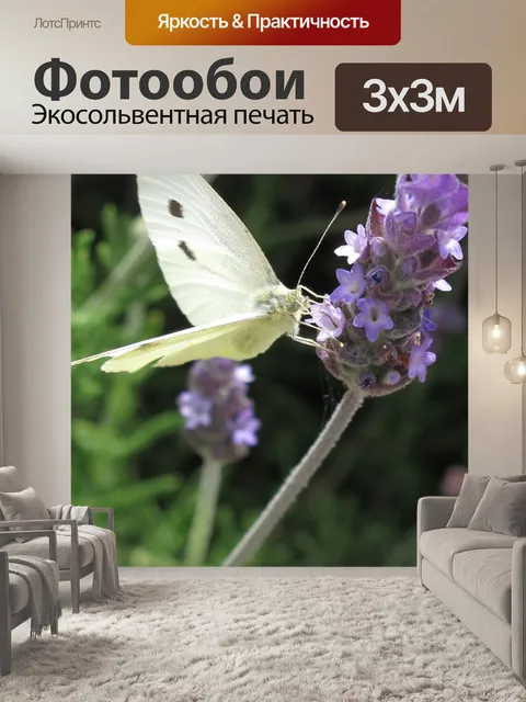 Фотообои Бабочка