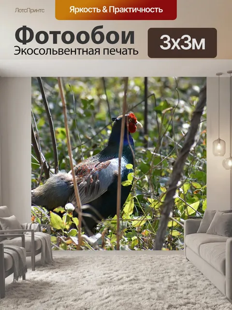 Фотообои Животное