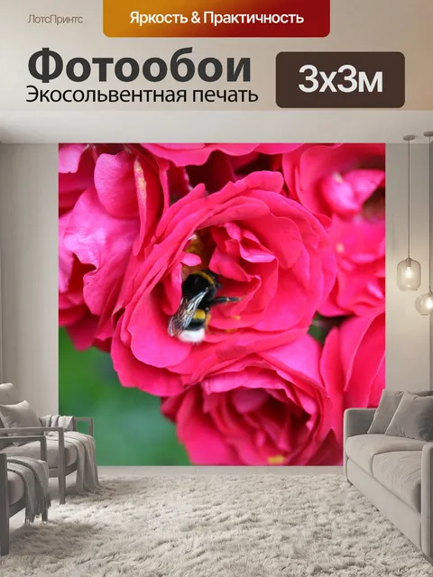 Фотообои Роза