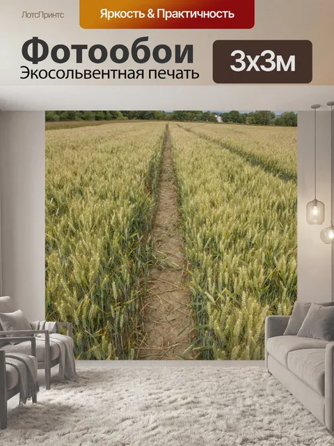 Фотообои Золотое пшеничное поле и солнечный день