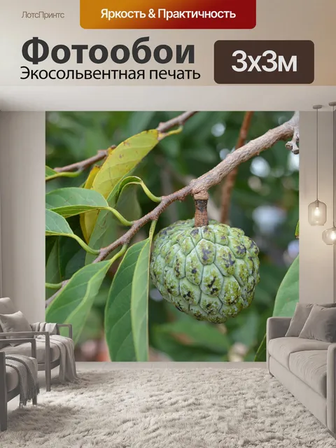 Фотообои Природа