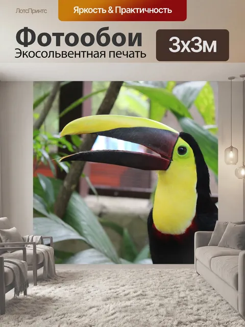 Фотообои Птица