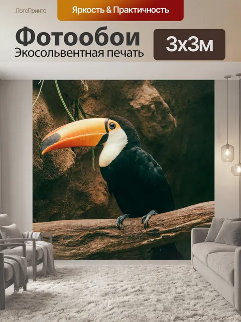 Фотообои Птица