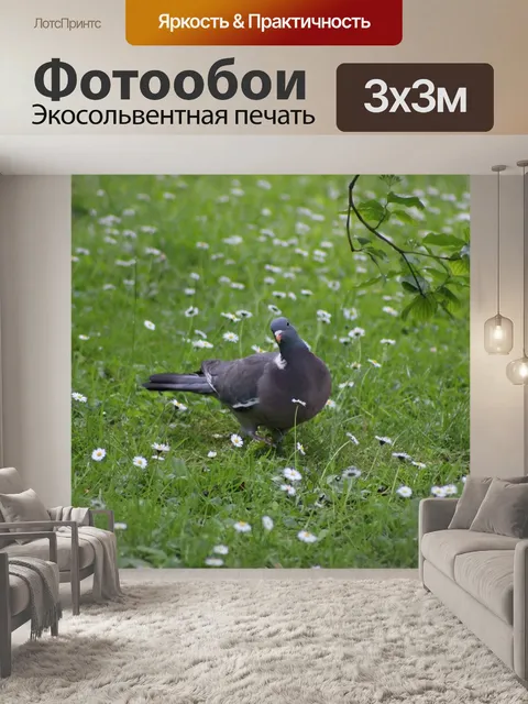 Фотообои Птица