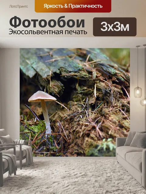 Фотообои Лес