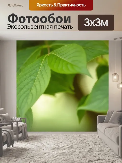 Фотообои Листья