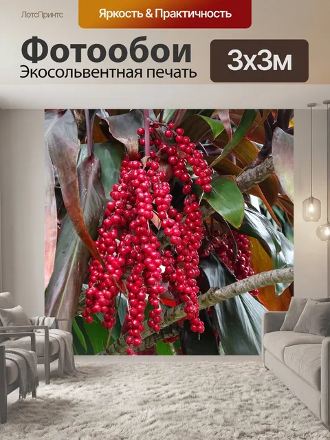 Фотообои В саду на Мадейре
