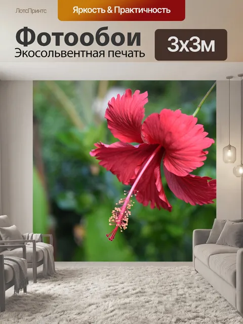 Фотообои Цветок