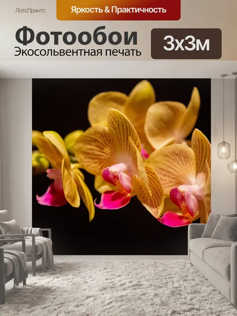 Фотообои Орхидеи
