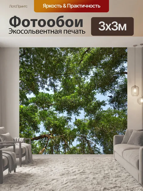 Фотообои верхушка джунглей, где можно увидеть разнообразие деревьев и площадок для птиц