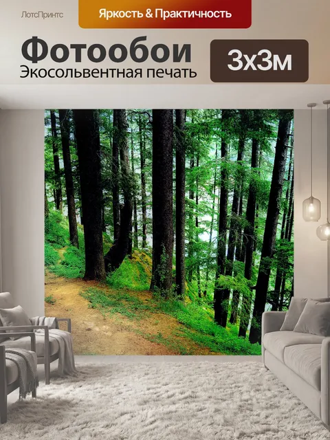 Фотообои Сосновый лес фоне 3