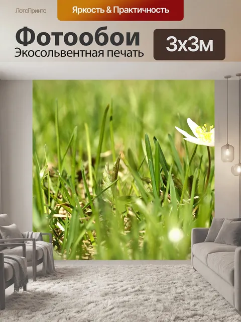 Фотообои Анемоны