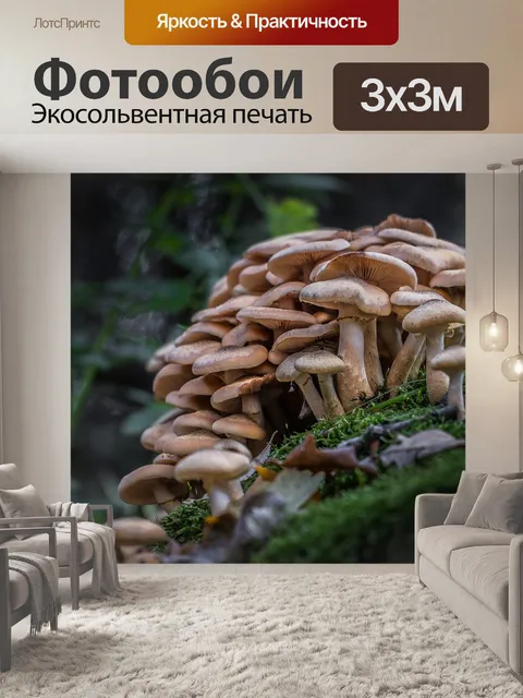 Фотообои Лес