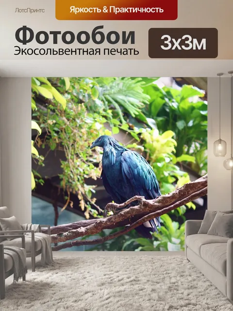 Фотообои Птица