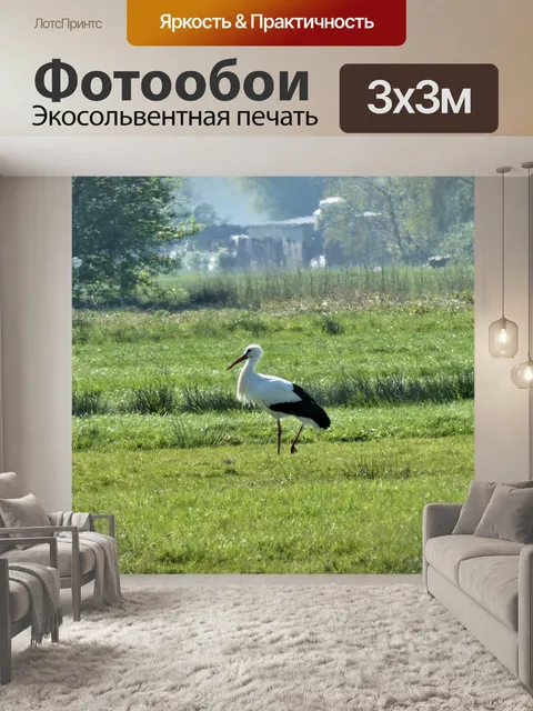 Фотообои Аист