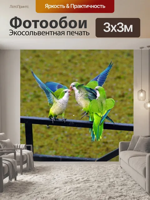 Фотообои Птицы