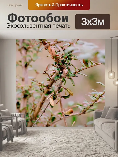 Фотообои Лезвие
