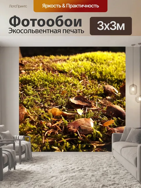 Фотообои Лес