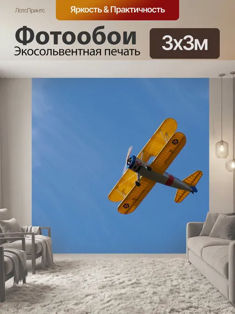 Фотообои Военная птица