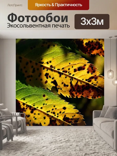 Фотообои Листья