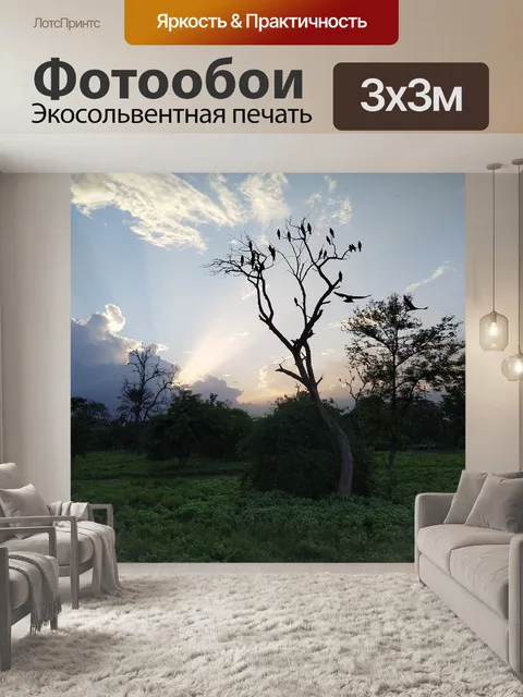 Фотообои Дерево