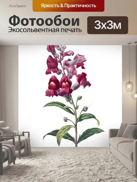Фотообои Винтажный цветок душистого горошка клипа