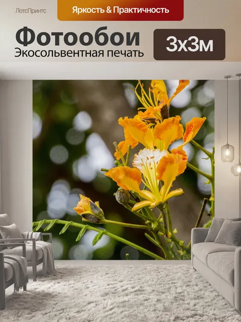 Фотообои Яркий