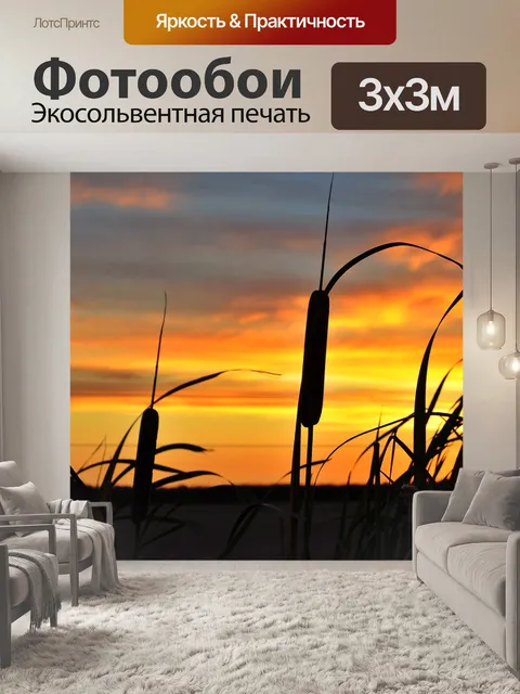 Фотообои Заход солнца