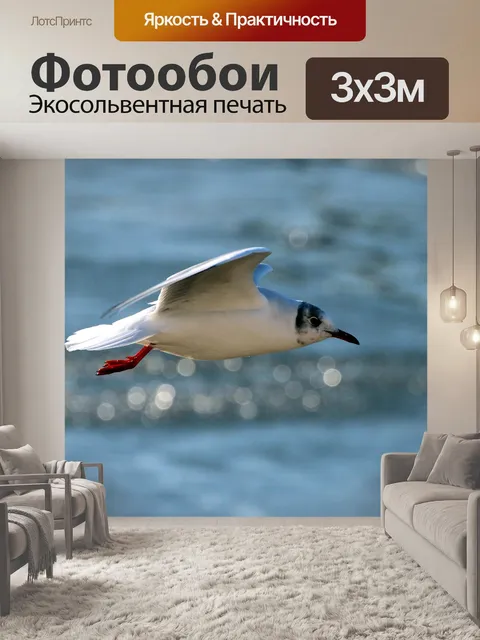 Фотообои Природа