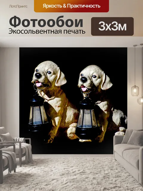 Фотообои Собака