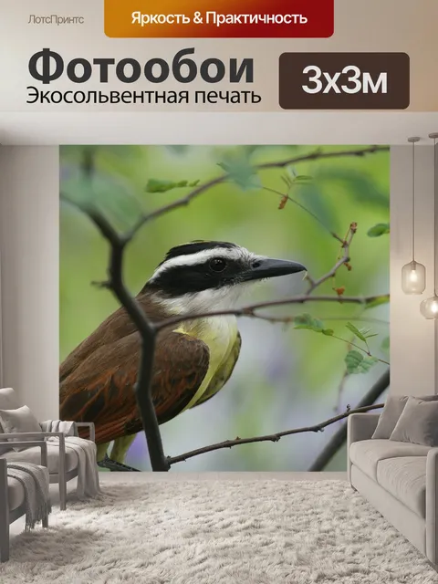 Фотообои Пик