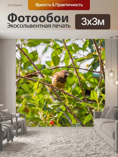 Фотообои Воробей