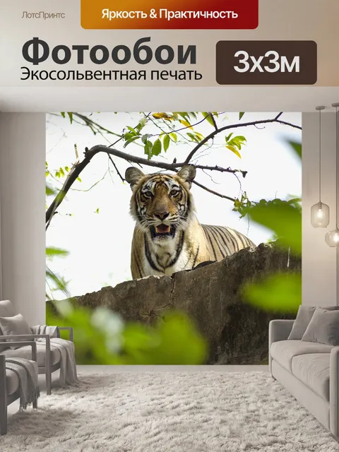 Фотообои Тигр