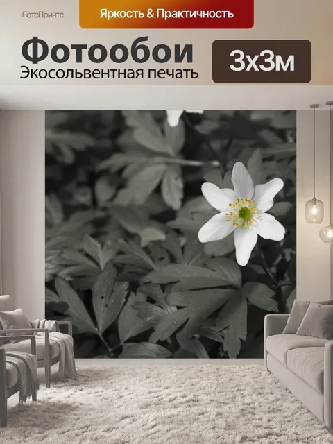 Фотообои Цветок