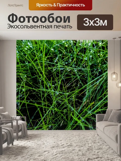Фотообои Капли воды