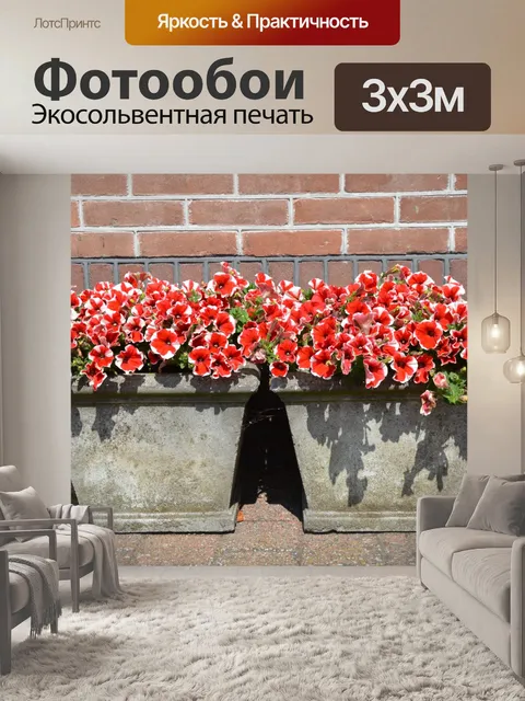 Фотообои Комнатные цветы