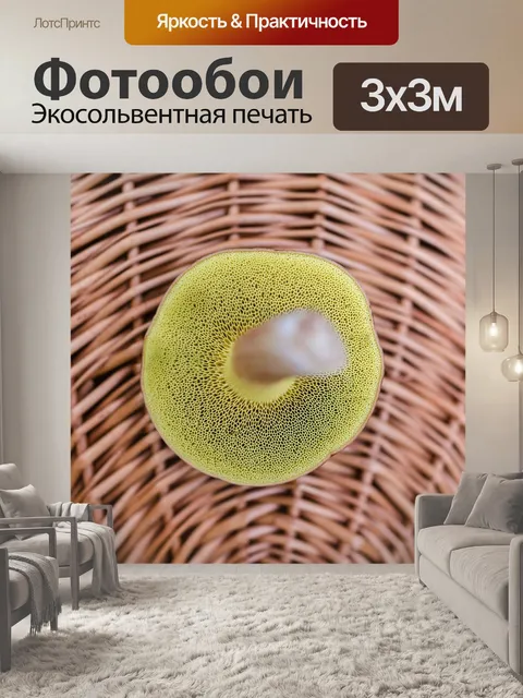 Фотообои Корзина