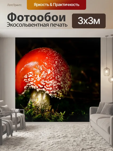 Фотообои Гриб