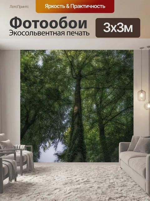 Фотообои Лес