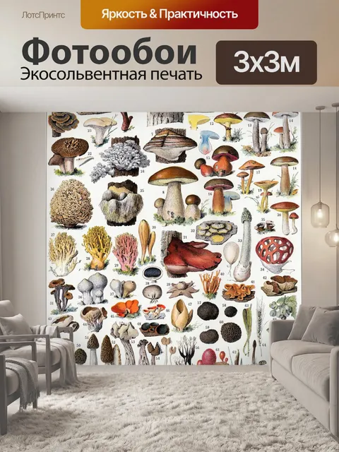 Фотообои Винтажный постер Грибные чемпионы