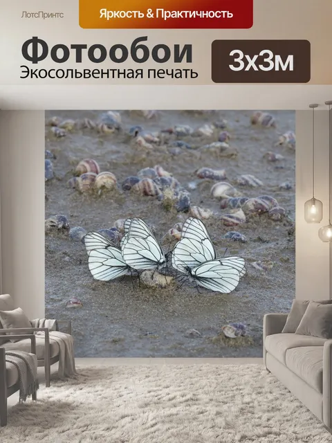 Фотообои Бабочка