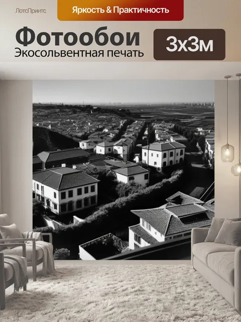 Фотообои пейзаж с моего окна чернобелый