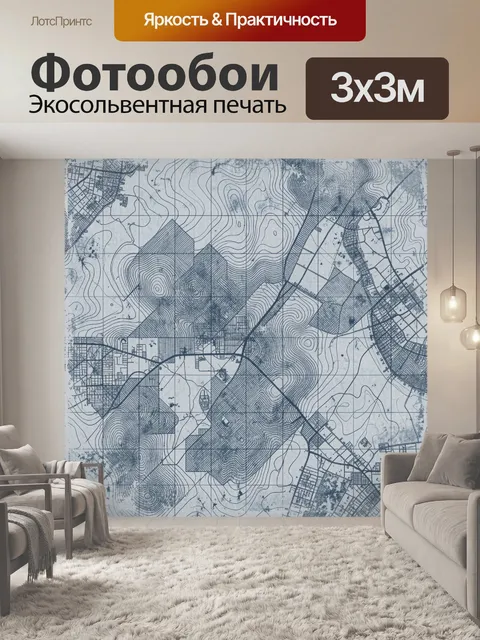 Фотообои Топографическая карта в монохроме